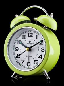 BUDZIK PERFECT Q878 - green (do012i)