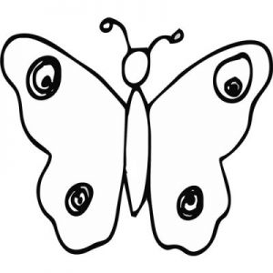 Grawer Specjalny-Motyl 2-1-2