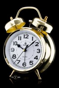 BUDZIK PERFECT Q868 - gold (do013b)