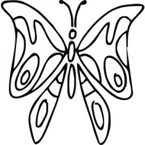 Grawer Specjalny-Motyl 2-1-8