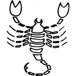 Grawer Specjalny-Znak Zodiaku 8-1-5